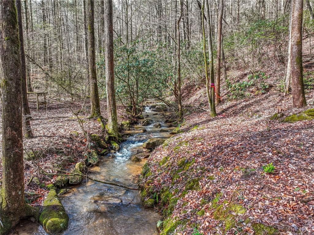 4 bedroom, 3 bathroom, 3,532 sq ft single family residence for sale at 641 Bryant Farm Lane, Ellijay, GA 30540 — photo 2