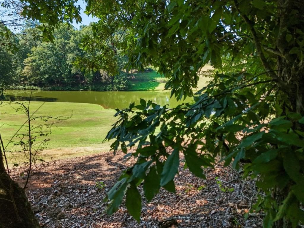 unimproved land for sale at 0 Lineberry Lane, Cumming, GA 30028 — photo 4