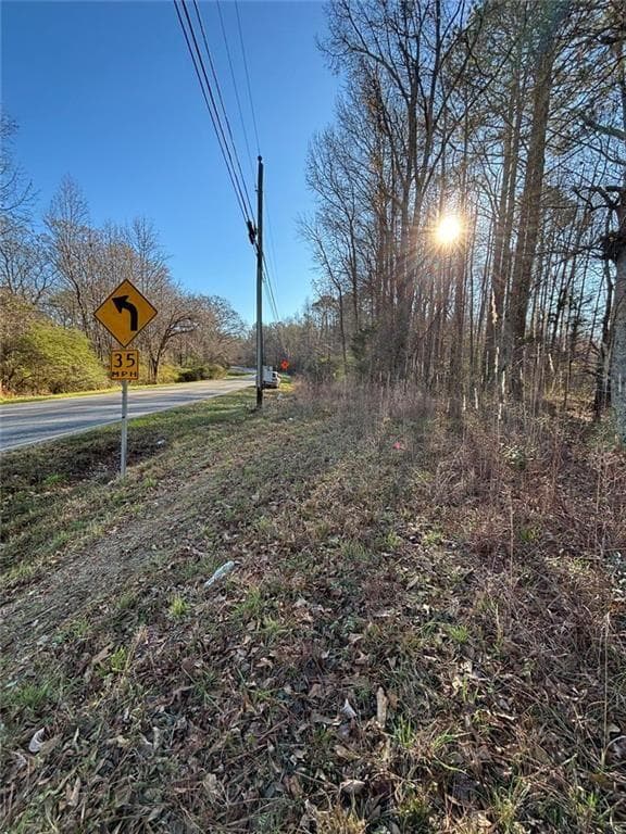unimproved land for sale at 0 State Rte 83 Route, Monroe, GA 30655 — photo 2