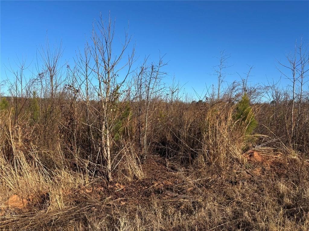 unimproved land for sale at 0 State Rte 83 Route, Monroe, GA 30655 — photo 3