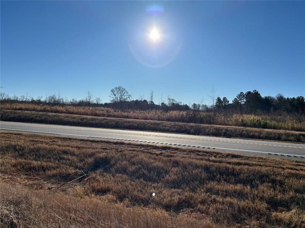 unimproved land for sale at 0 State Rte 83 Route, Monroe, GA 30655 — photo 4