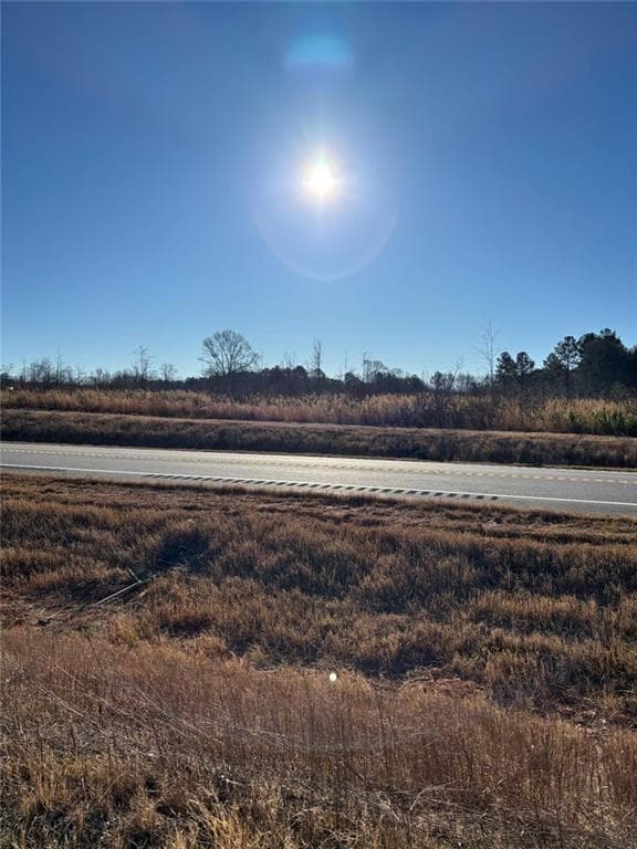 unimproved land for sale at 0 State Rte 83 Route, Monroe, GA 30655 — photo 5