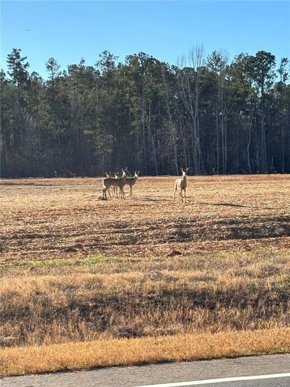 unimproved land for sale at 0 State Rte 83 Route, Monroe, GA 30655 — photo 6