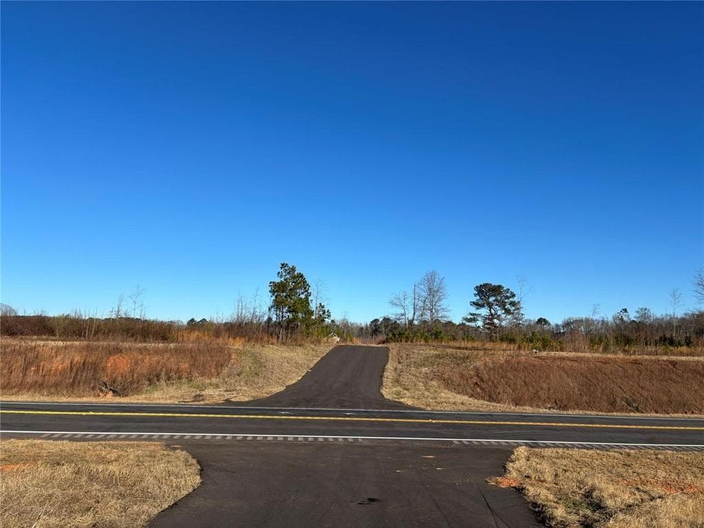unimproved land for sale at 0 State Rte 83 Route, Monroe, GA 30655 — photo 8
