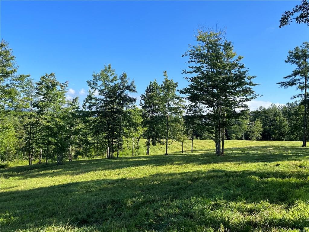 3 bedroom, 2 bathroom other for sale at Lot 2 Highway 52, Dahlonega, GA 30533 — photo 1 of 24