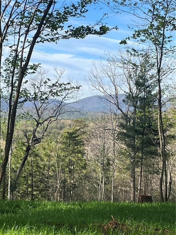 3 bedroom, 2 bathroom other for sale at Lot 2 Highway 52, Dahlonega, GA 30533 — photo 4