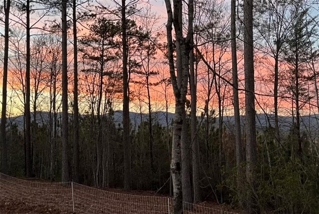 3 bedroom, 2 bathroom other for sale at Lot 2 Highway 52, Dahlonega, GA 30533 — photo 5