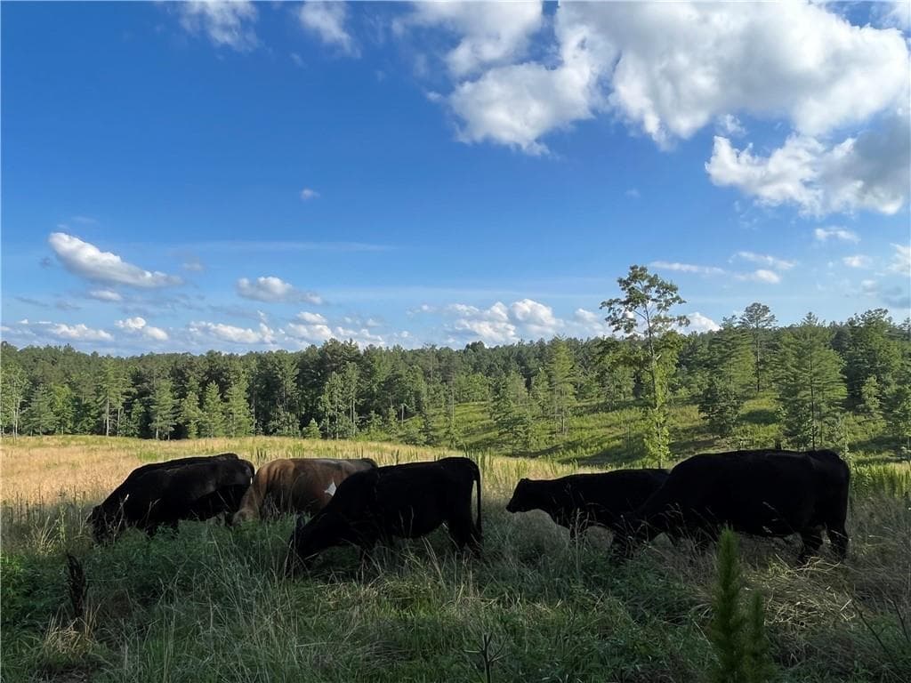 3 bedroom, 2 bathroom other for sale at Lot 2 Highway 52, Dahlonega, GA 30533 — photo 7