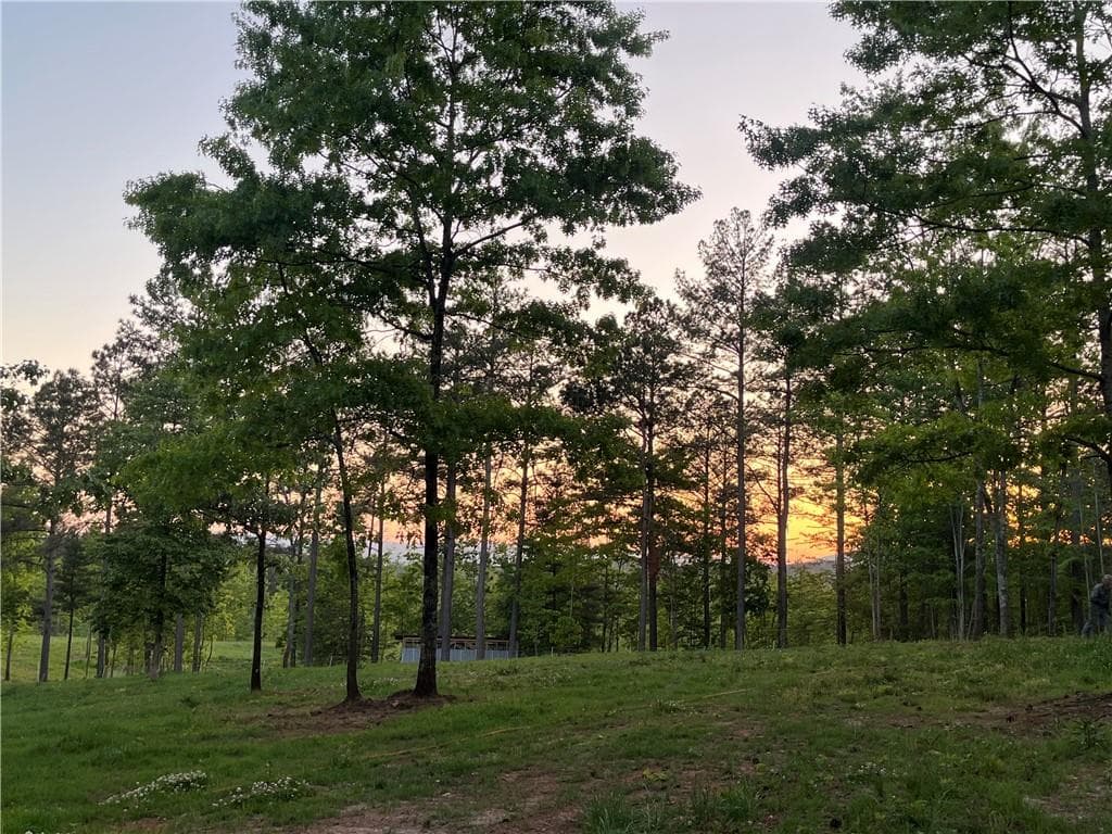 3 bedroom, 2 bathroom other for sale at Lot 2 Highway 52, Dahlonega, GA 30533 — photo 2