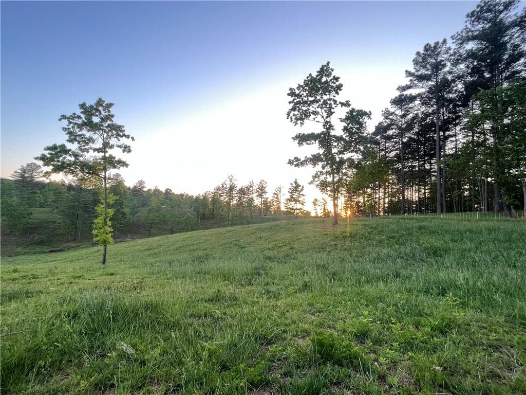 3 bedroom, 2 bathroom other for sale at Lot 2 Highway 52, Dahlonega, GA 30533 — photo 9