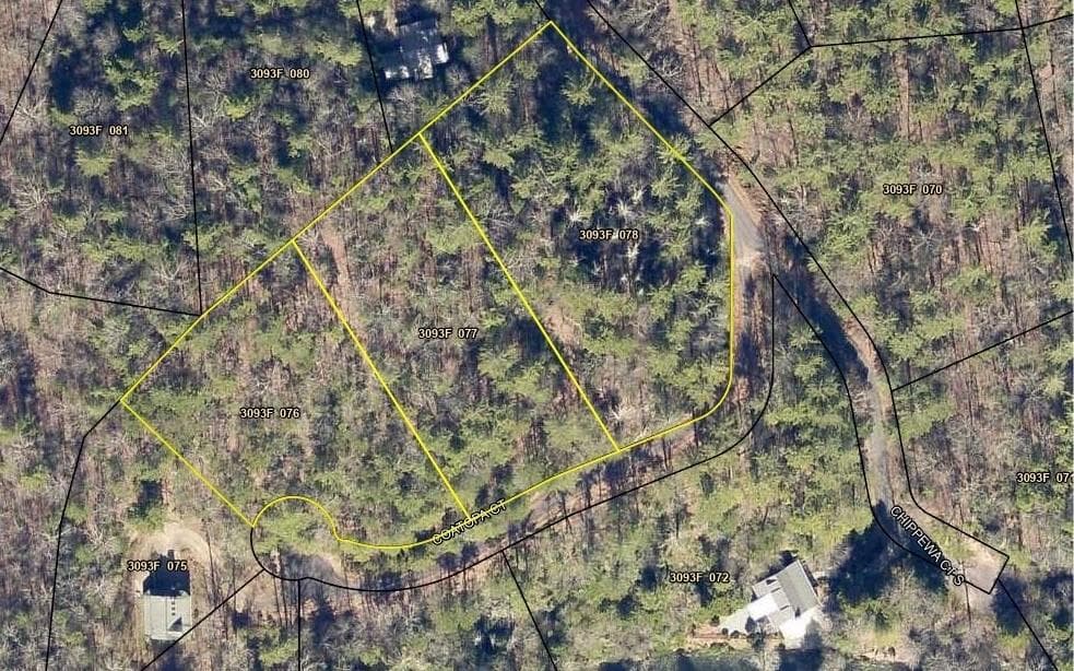 other for sale at 0 Coatopa Court, Ellijay, GA 30540 — photo 2
