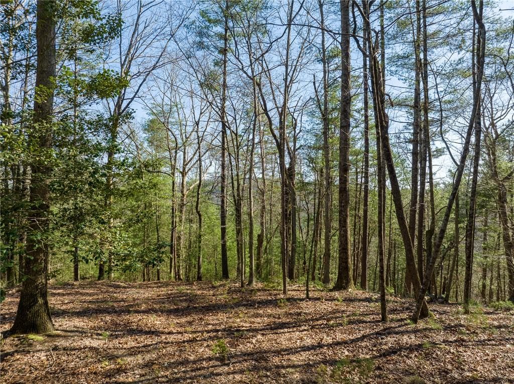 other for sale at 0 Coatopa Court, Ellijay, GA 30540 — photo 4