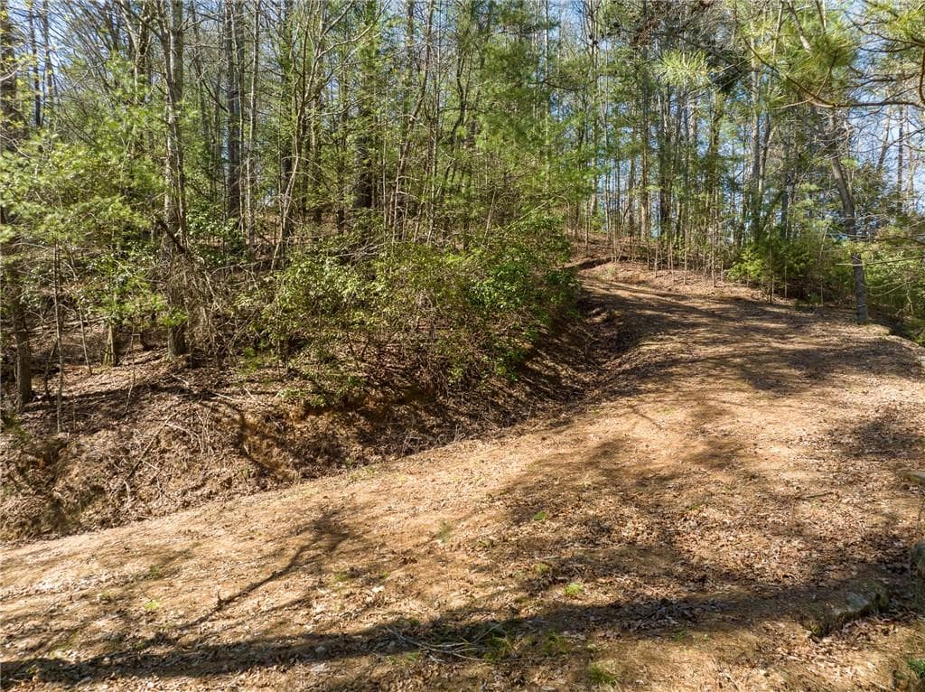 other for sale at 0 Coatopa Court, Ellijay, GA 30540 — photo 5