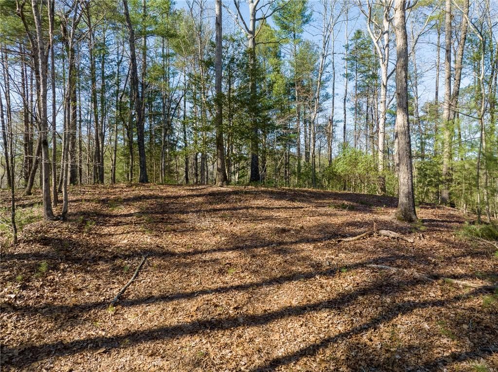 other for sale at 0 Coatopa Court, Ellijay, GA 30540 — photo 6