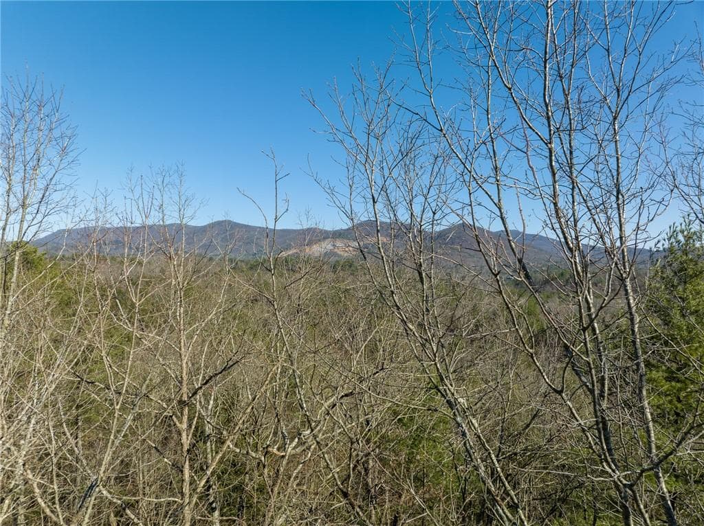 other for sale at 0 Coatopa Court, Ellijay, GA 30540 — photo 7