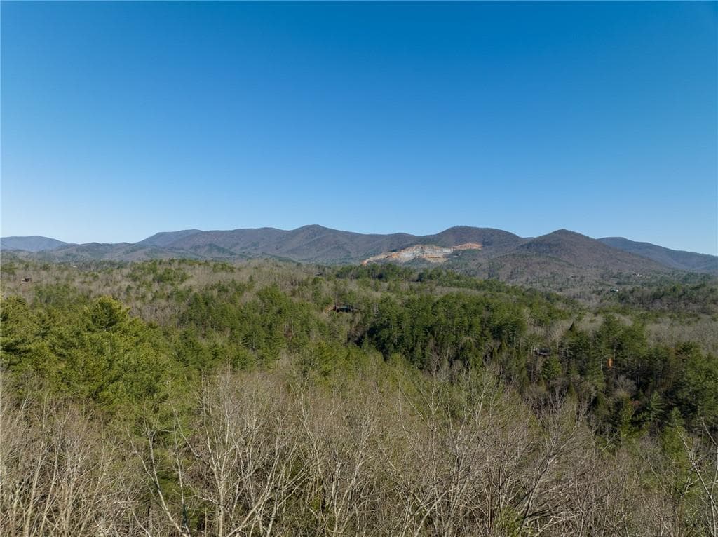other for sale at 0 Coatopa Court, Ellijay, GA 30540 — photo 8