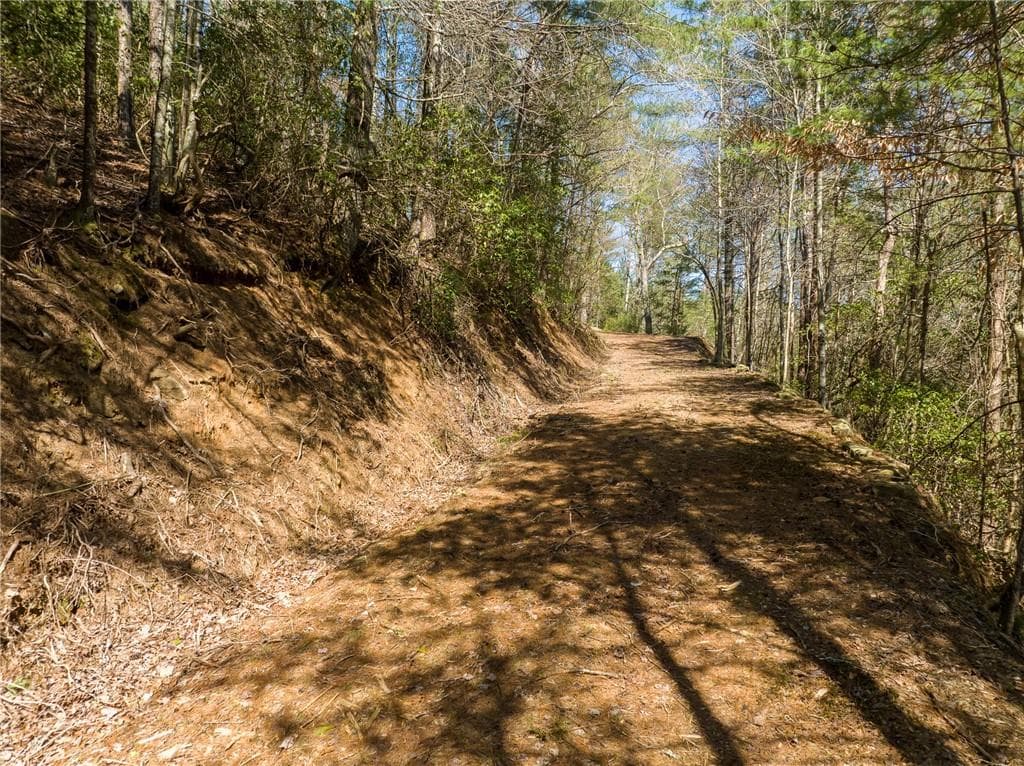 other for sale at 0 Coatopa Court, Ellijay, GA 30540 — photo 9