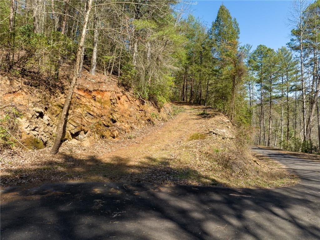 other for sale at 0 Coatopa Court, Ellijay, GA 30540 — photo 10