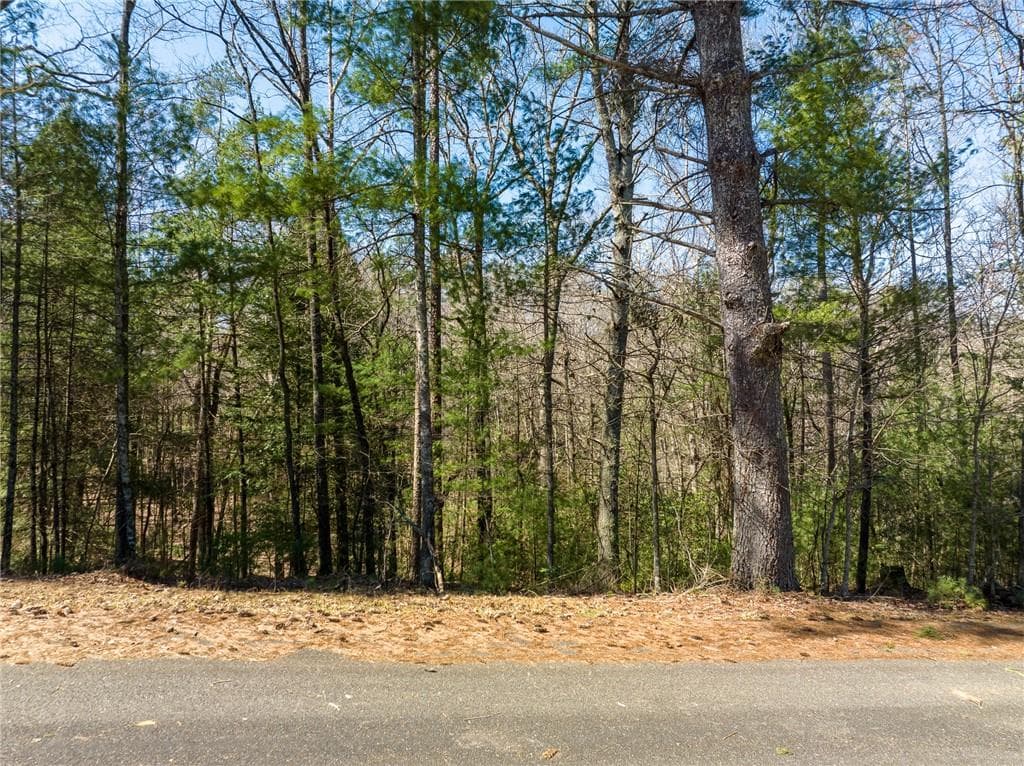 other for sale at 0 Shenendoa Drive, Ellijay, GA 30540