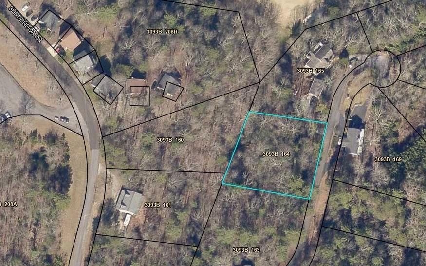 other for sale at 0 Shenendoa Drive, Ellijay, GA 30540 — photo 3