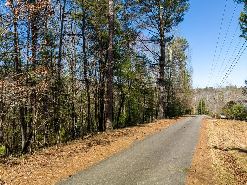 other for sale at 0 Shenendoa Drive, Ellijay, GA 30540 — photo 4