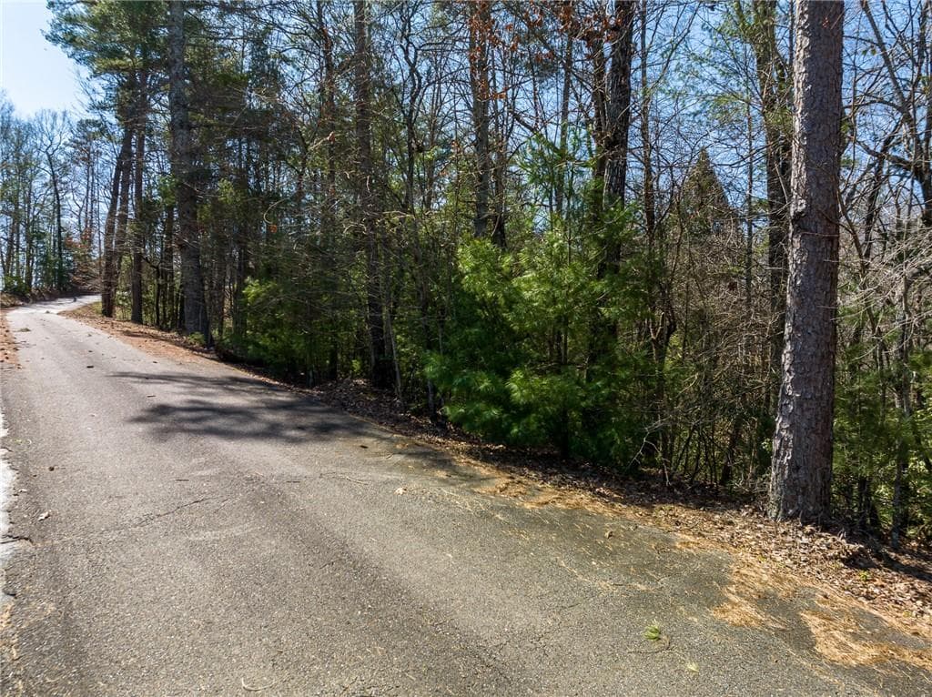 other for sale at 0 Shenendoa Drive, Ellijay, GA 30540 — photo 5