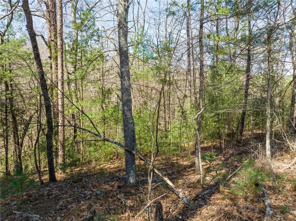 other for sale at 0 Shenendoa Drive, Ellijay, GA 30540 — photo 6