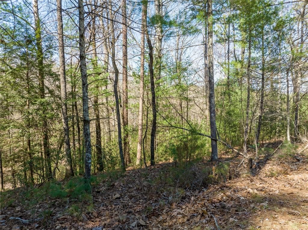 other for sale at 0 Shenendoa Drive, Ellijay, GA 30540 — photo 7