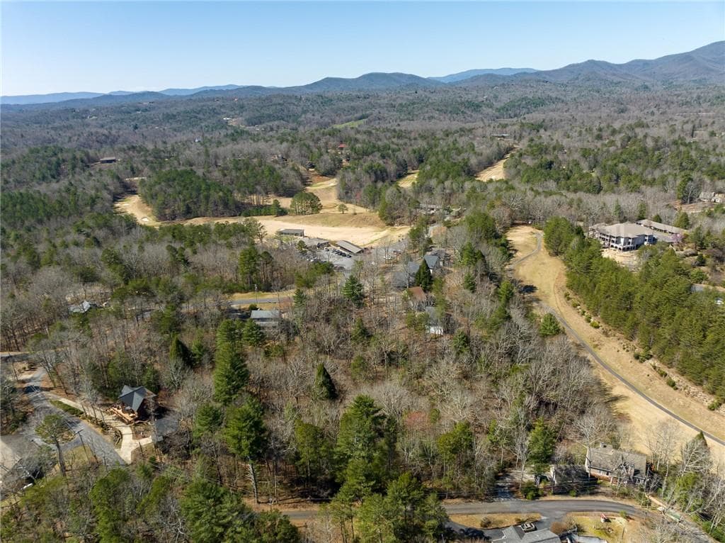other for sale at 0 Shenendoa Drive, Ellijay, GA 30540 — photo 9