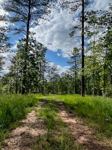 other for sale at Lot 1 Highway 52, Dahlonega, GA 30533 — photo 4