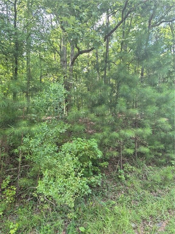 unimproved land for sale at 441 S Steel Bridge Road, Eatonton, GA 31024
