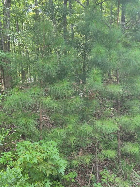 unimproved land for sale at 441 S Steel Bridge Road, Eatonton, GA 31024 — photo 2
