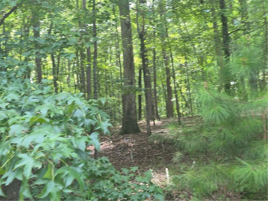 unimproved land for sale at 441 S Steel Bridge Road, Eatonton, GA 31024 — photo 3