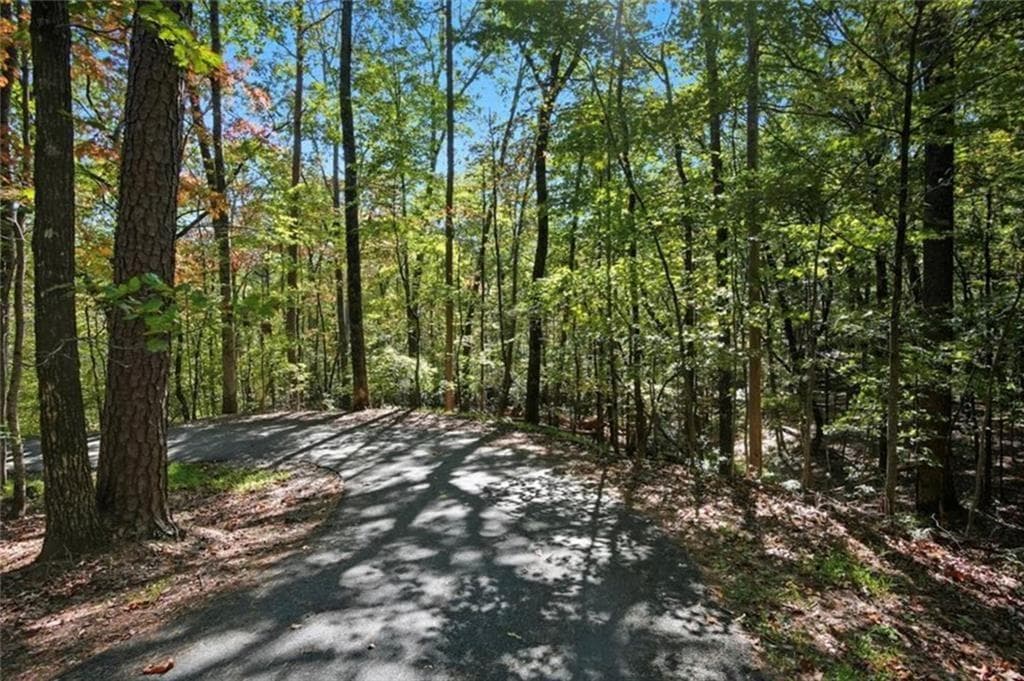 unimproved land for sale at 226 Wild Azalea, Jasper, GA 30143 — photo 2