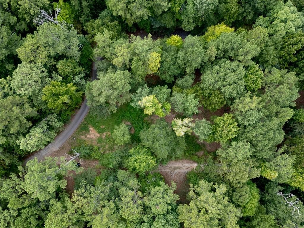 unimproved land for sale at 18 E Mourning Dove Court, Monticello, GA 31064 — photo 6