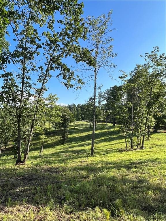 other for sale at Lot 1 Highway 52, Dahlonega, GA 30533 — photo 5