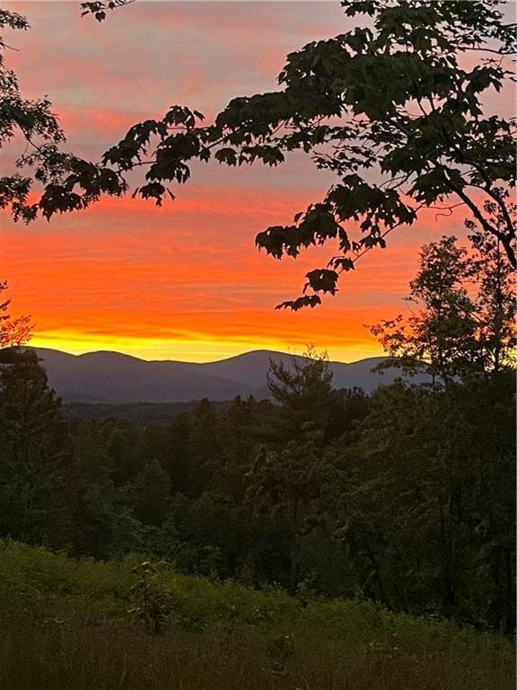home for sale at Lot 1 Highway 52, Dahlonega, GA