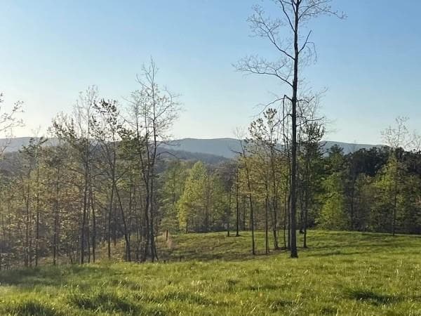 other for sale at Lot 1 Highway 52, Dahlonega, GA 30533 — photo 6