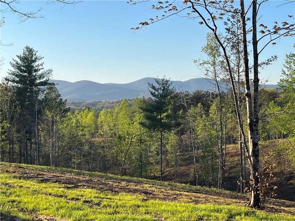 other for sale at Lot 1 Highway 52, Dahlonega, GA 30533 — photo 7