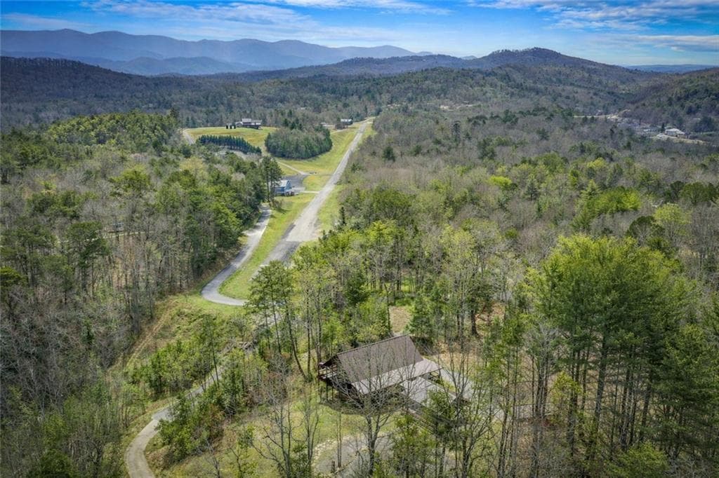 3 bedroom, 4 bathroom, 2,800 sq ft single family residence for sale at 259 Red Bush School Road, Blue Ridge, GA 30513 — photo 7