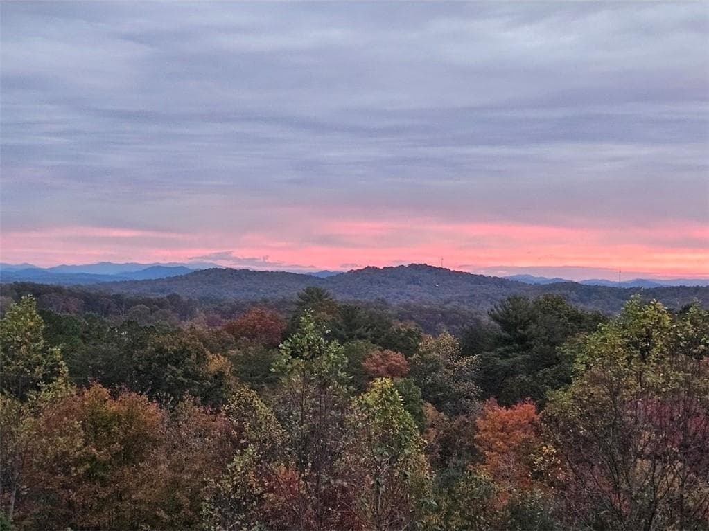 3 bedroom, 4 bathroom, 2,800 sq ft single family residence for sale at 259 Red Bush School Road, Blue Ridge, GA 30513 — photo 5
