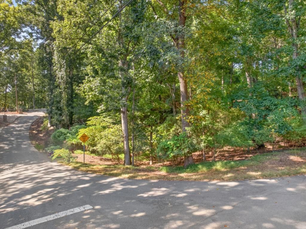 unimproved land for sale at 3550 Lodgehaven Drive, Gainesville, GA 30506 — photo 3
