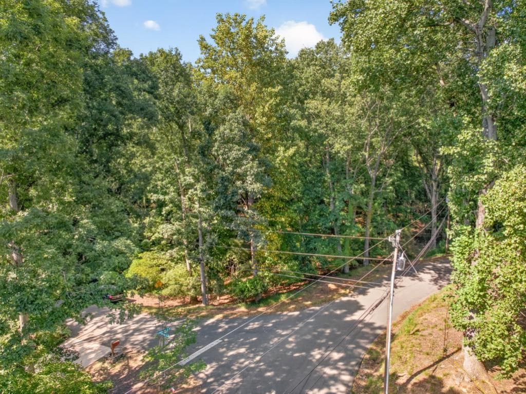 unimproved land for sale at 3550 Lodgehaven Drive, Gainesville, GA 30506 — photo 4