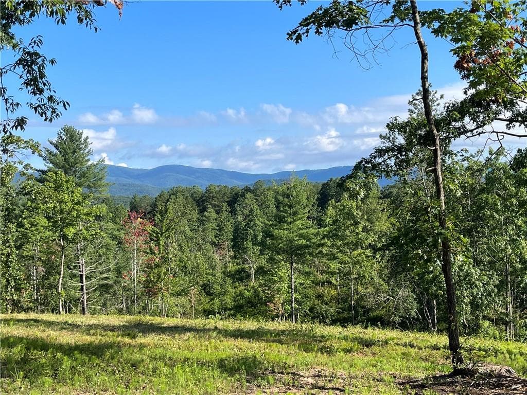 other for sale at Lot 1 Highway 52, Dahlonega, GA 30533 — photo 8