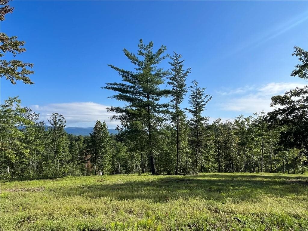 other for sale at Lot 1 Highway 52, Dahlonega, GA 30533 — photo 9