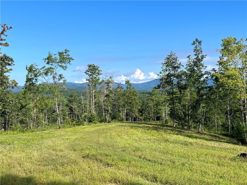 other for sale at Lot 1 Highway 52, Dahlonega, GA 30533 — photo 10