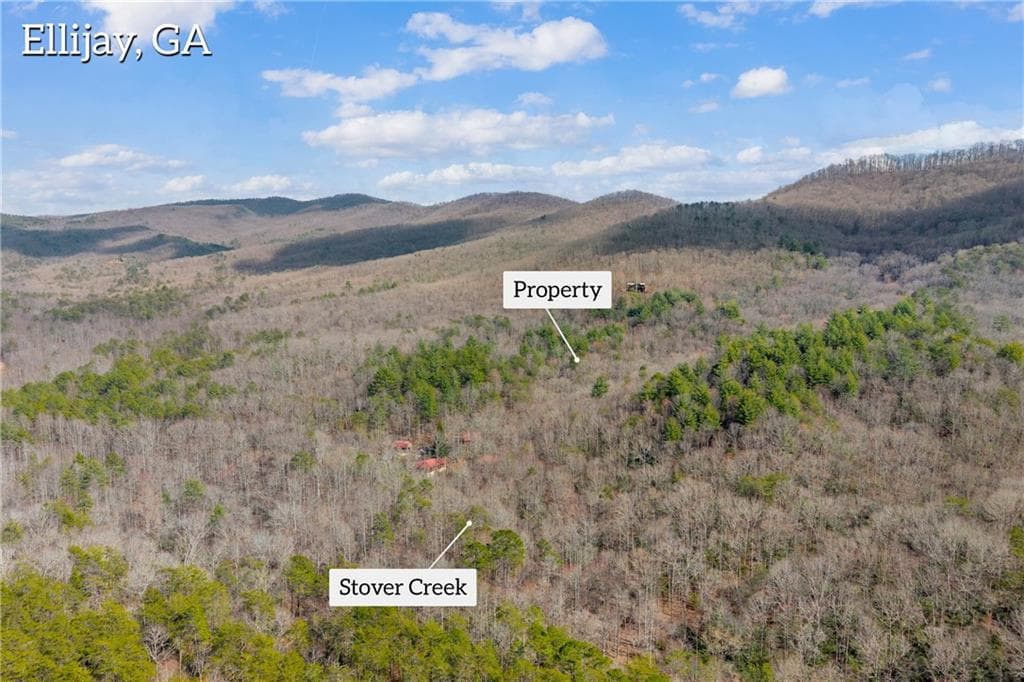 unimproved land for sale at 225 Smallwood Road, Ellijay, GA 30536 — photo 2