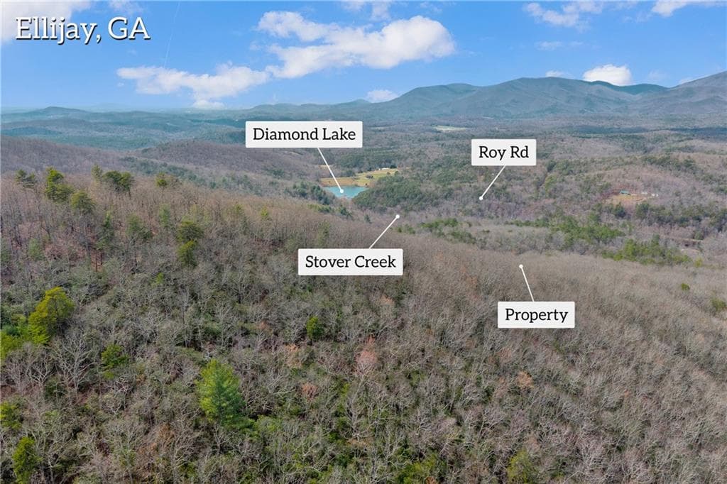 unimproved land for sale at 225 Smallwood Road, Ellijay, GA 30536 — photo 4