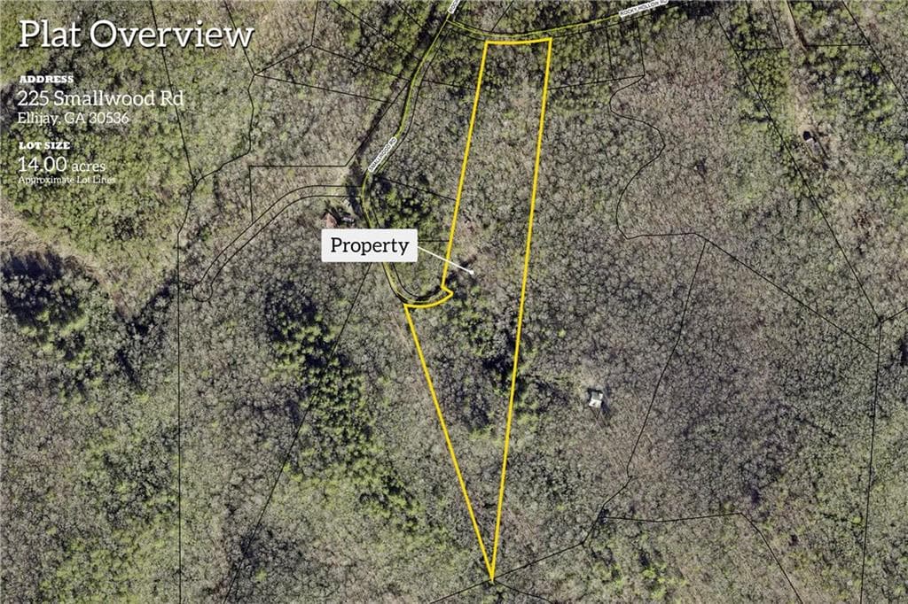unimproved land for sale at 225 Smallwood Road, Ellijay, GA 30536 — photo 5
