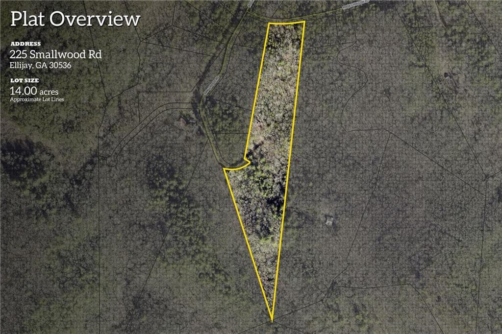 unimproved land for sale at 225 Smallwood Road, Ellijay, GA 30536 — photo 6